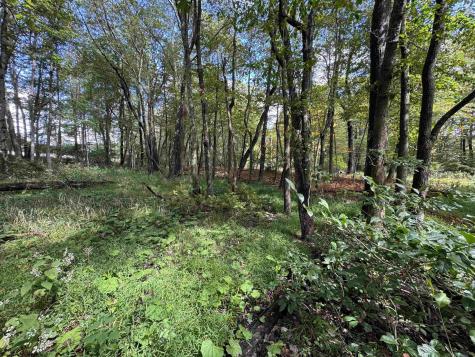5 Dogwood Lane Terra Alta WV 26764