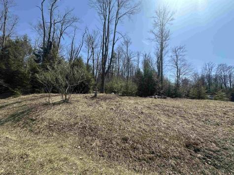 195 Florence Court Davis WV 26260