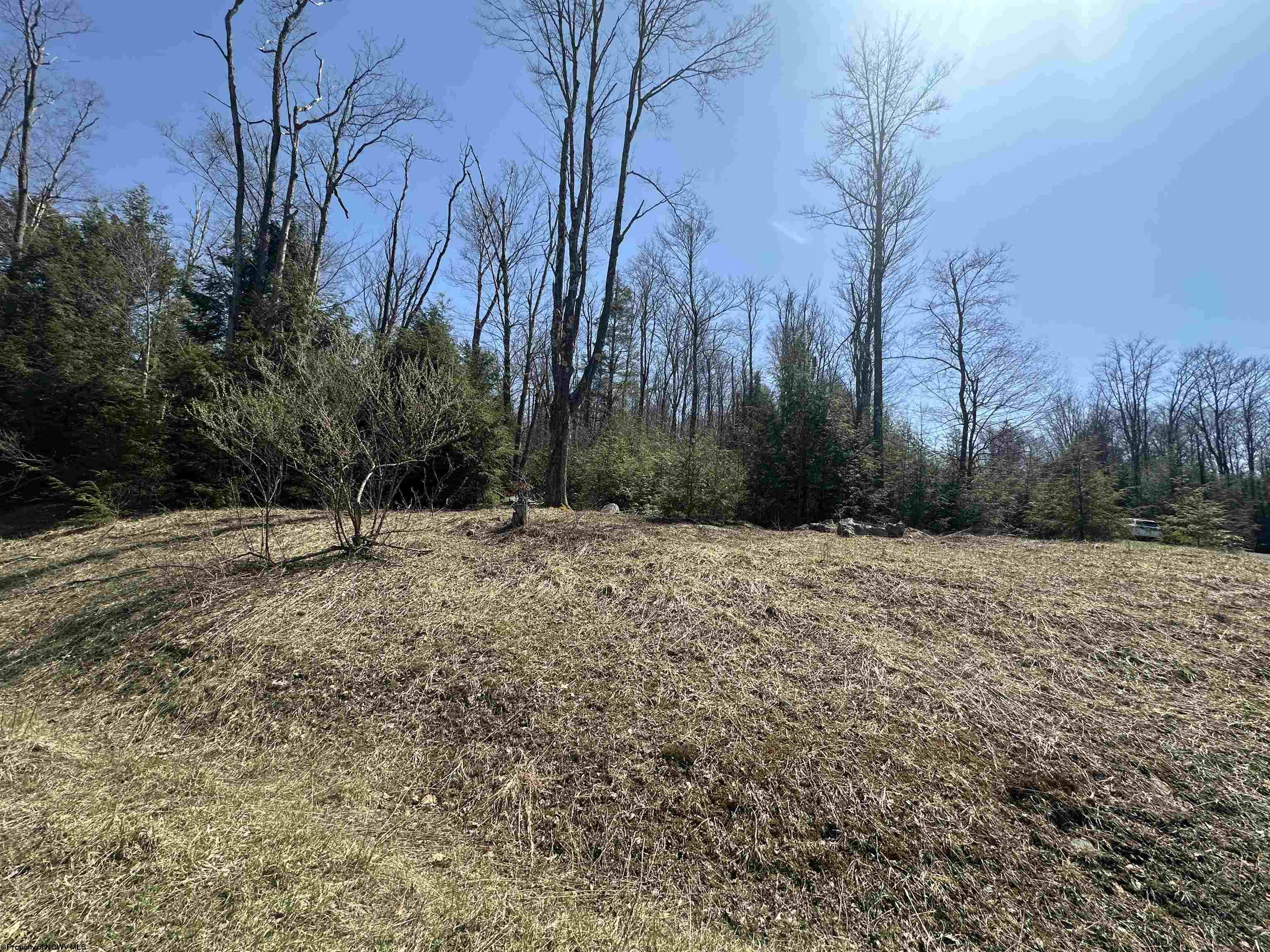 195 Florence Court Davis WV 26260