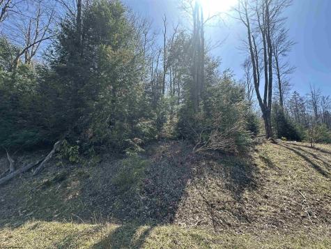 195 Florence Court Davis WV 26260
