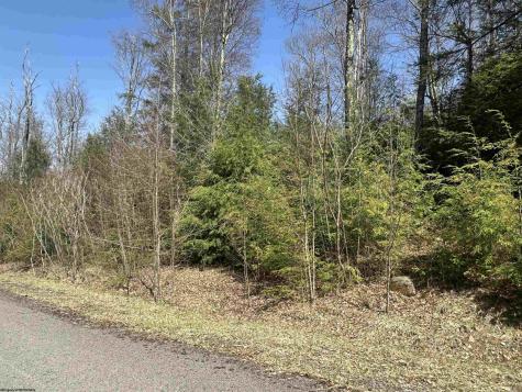 195 Florence Court Davis WV 26260