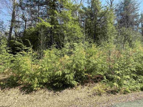 195 Florence Court Davis WV 26260