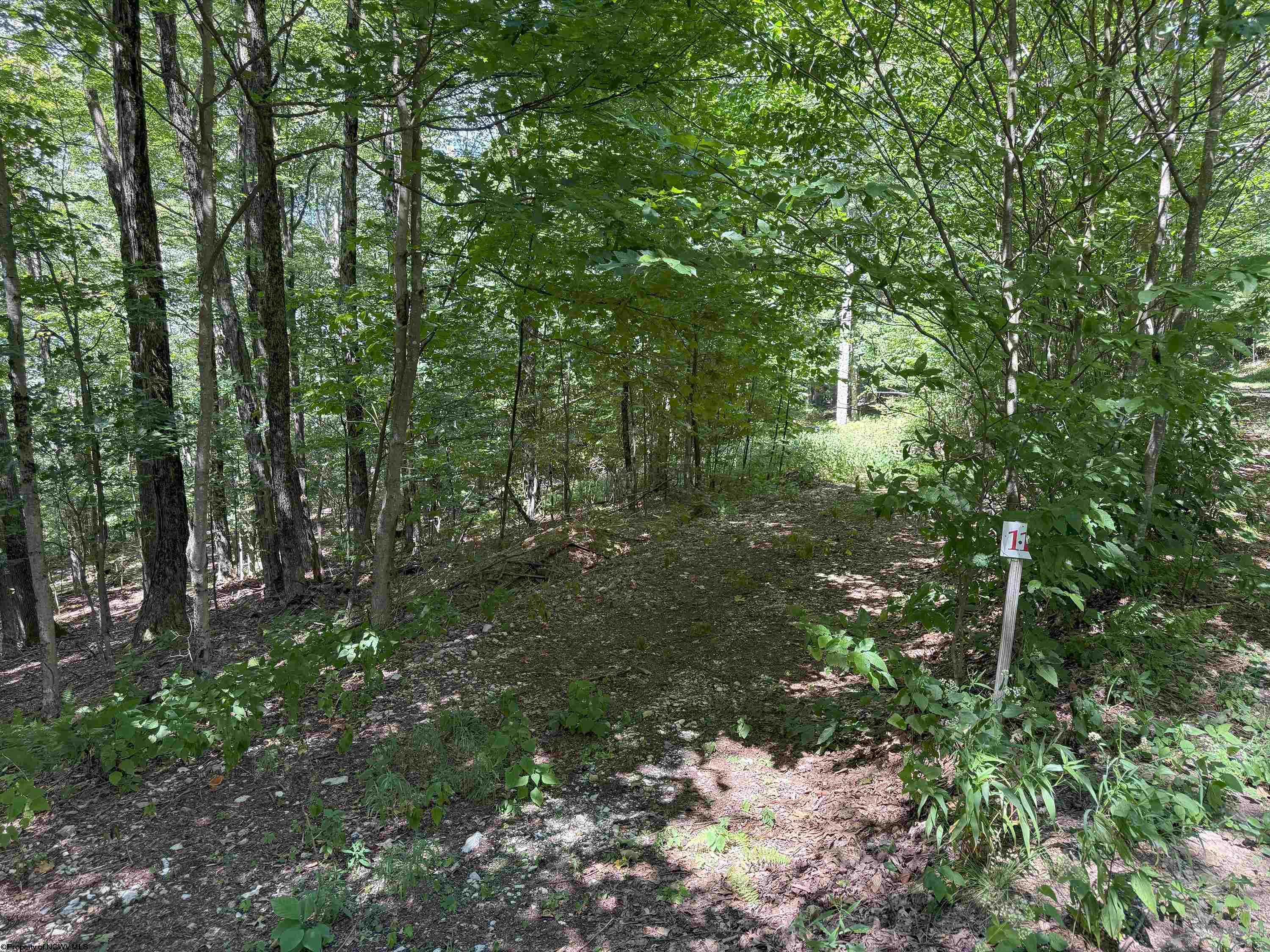 11 Kumbrabow Road Huttonsville WV 26273