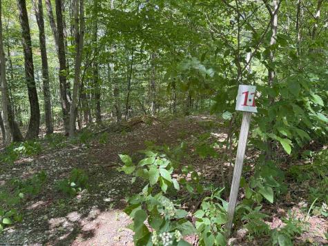 11 Kumbrabow Road Huttonsville WV 26273