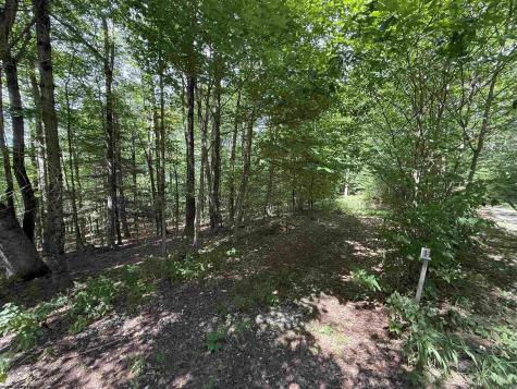 11 Kumbrabow Road Huttonsville WV 26273