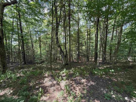 11 Kumbrabow Road Huttonsville WV 26273