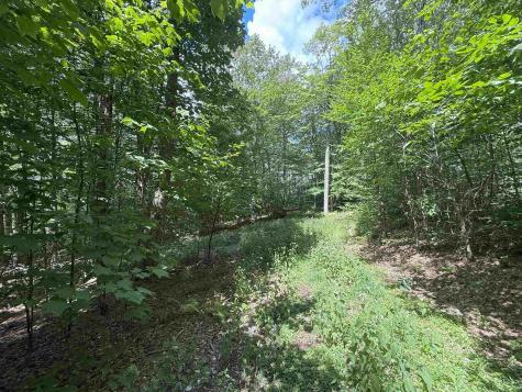 11 Kumbrabow Road Huttonsville WV 26273