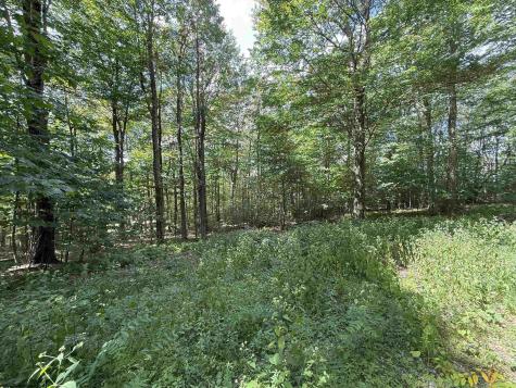 11 Kumbrabow Road Huttonsville WV 26273