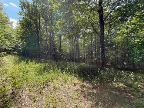 11 Kumbrabow Road Huttonsville WV 26273