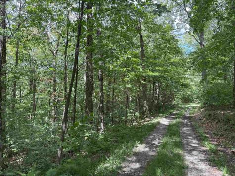 11 Kumbrabow Road Huttonsville WV 26273