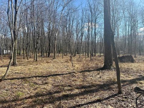 0 Ludwig Road Grafton WV 26354