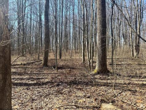 0 Ludwig Road Grafton WV 26354