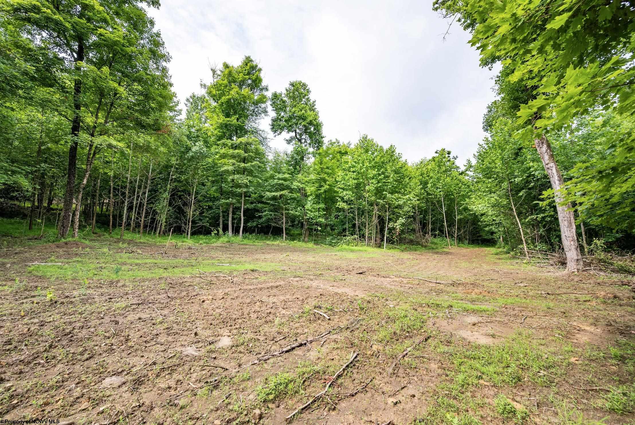 2 Burnt Cabin Road Fairmont WV 26554