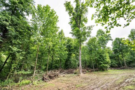 2 Burnt Cabin Road Fairmont WV 26554
