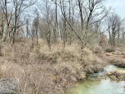 1201 Moyers Road Bruceton Mills WV 26525