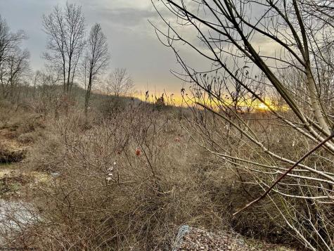 1201 Moyers Road Bruceton Mills WV 26525