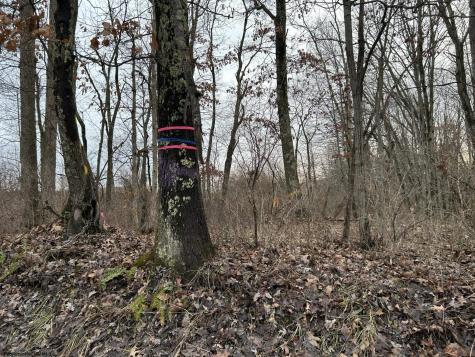 1201 Moyers Road Bruceton Mills WV 26525