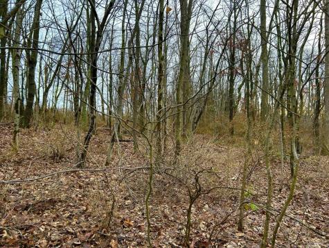 1201 Moyers Road Bruceton Mills WV 26525