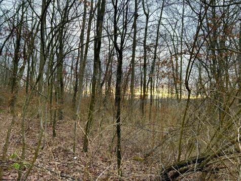 1201 Moyers Road Bruceton Mills WV 26525