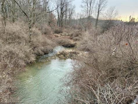 1201 Moyers Road Bruceton Mills WV 26525