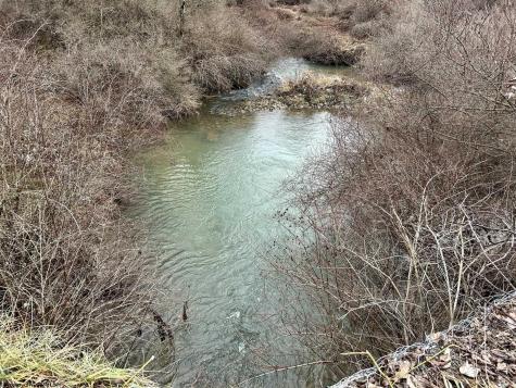 1201 Moyers Road Bruceton Mills WV 26525