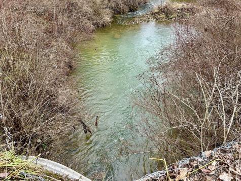 1201 Moyers Road Bruceton Mills WV 26525