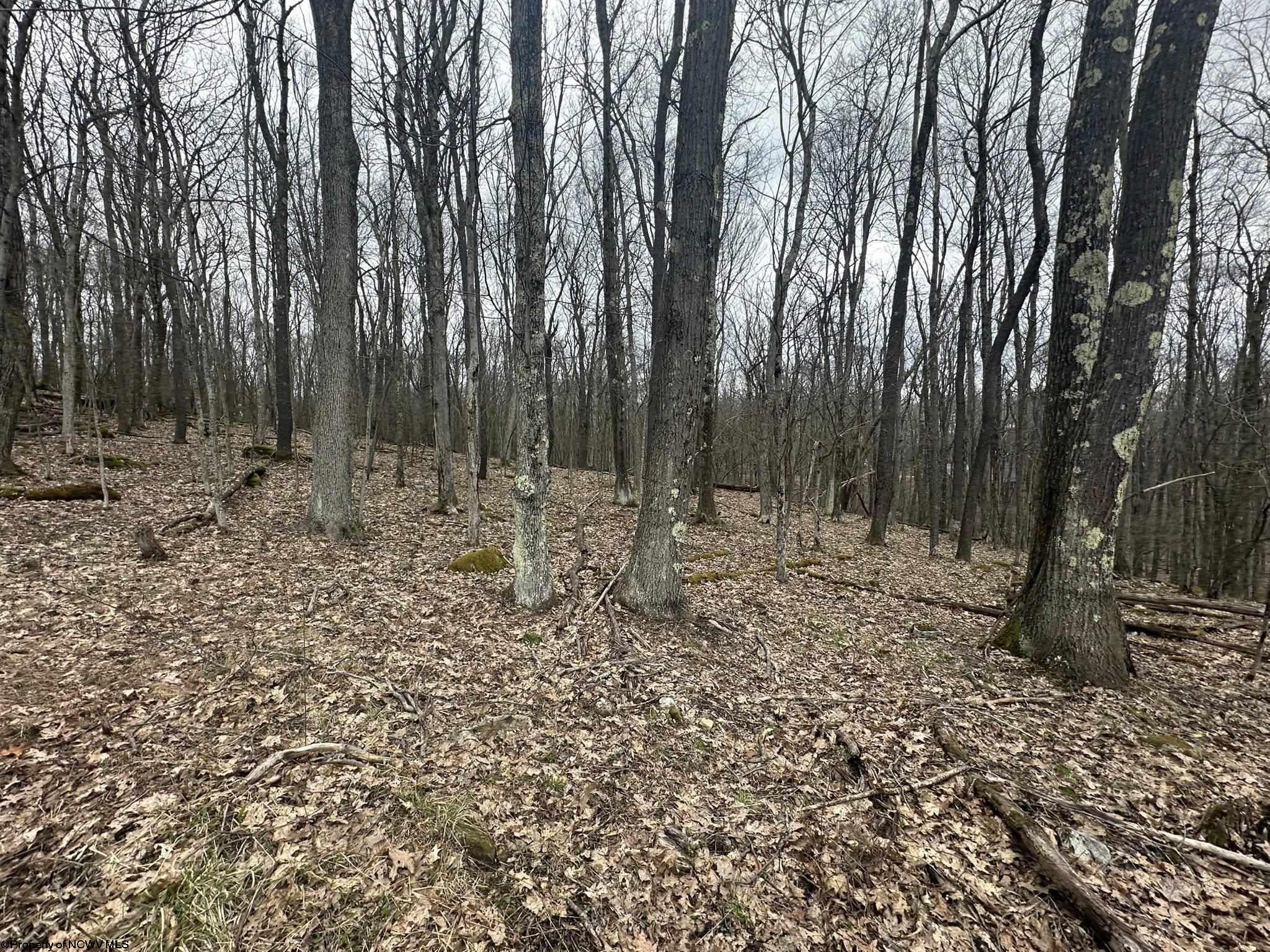 108 Lakeview Drive Terra Alta WV 26764