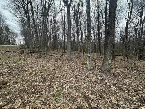 108 Lakeview Drive Terra Alta WV 26764