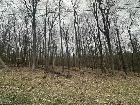 108 Lakeview Drive Terra Alta WV 26764