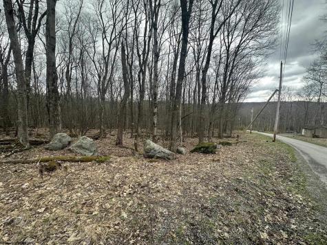 108 Lakeview Drive Terra Alta WV 26764