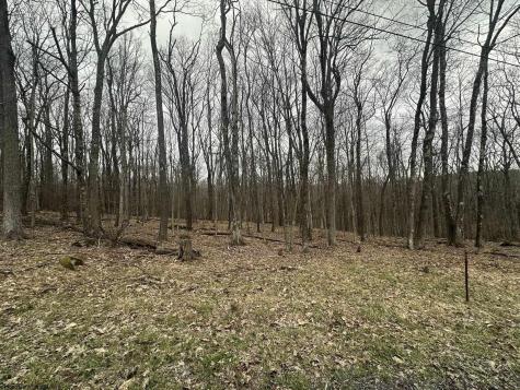 108 Lakeview Drive Terra Alta WV 26764