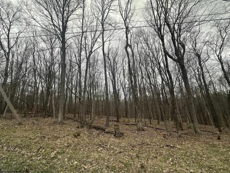 108 Lakeview Drive Terra Alta WV 26764