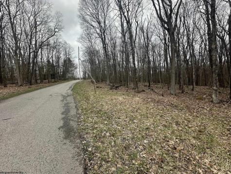 108 Lakeview Drive Terra Alta WV 26764