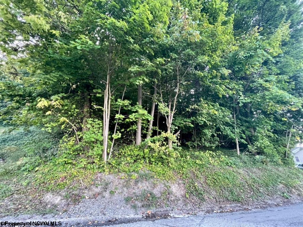 312 Lorentz Avenue Morgantown WV 26505
