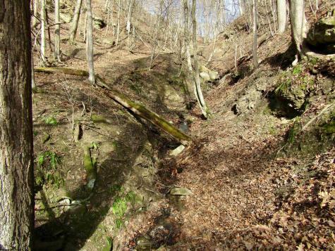 109 Dug Hill Road Morgantown WV 26508