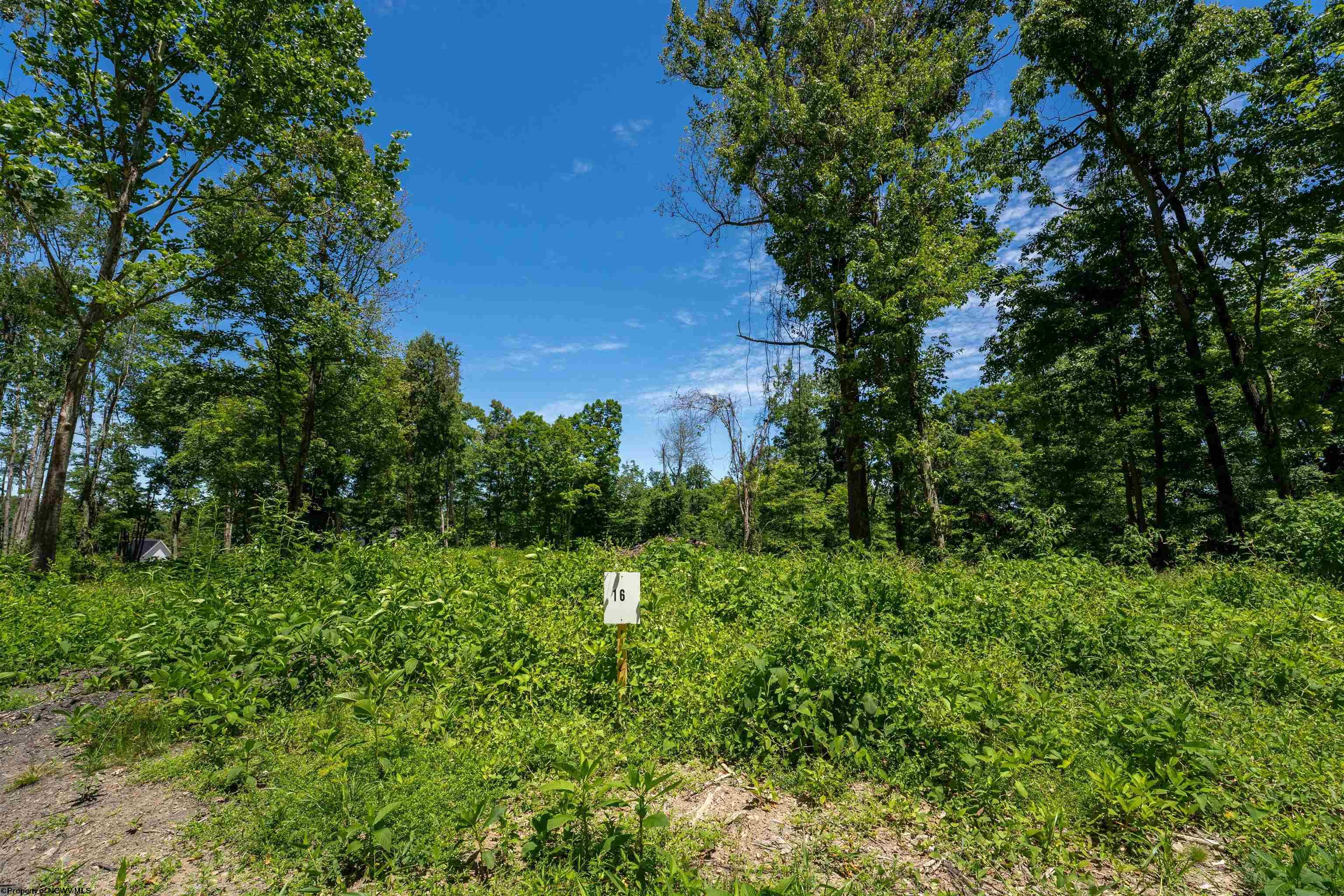 16 Bowers Lane Morgantown WV 26508