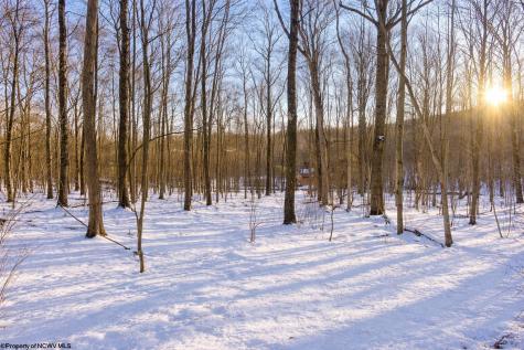 0 Ash Court Terra Alta WV 26764