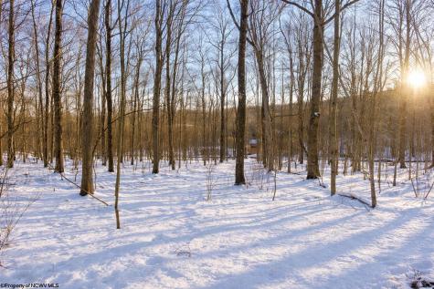 0 Ash Court Terra Alta WV 26764