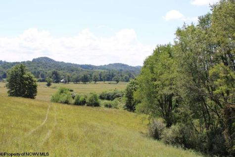 0 Ashburn Drive Buckhannon WV 26201