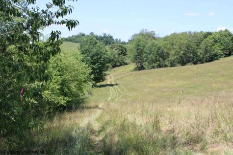 0 Ashburn Drive Buckhannon WV 26201