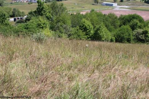 0 Ashburn Drive Buckhannon WV 26201