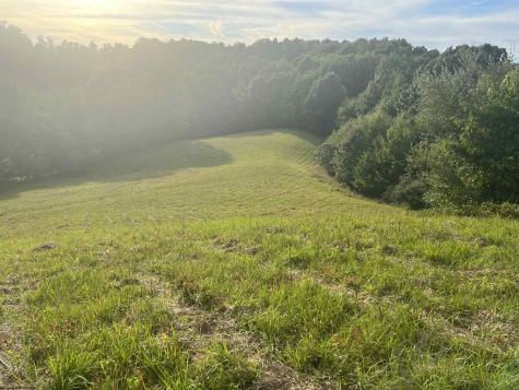 0 Ashburn Drive Buckhannon WV 26201