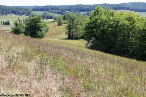 0 Ashburn Drive Buckhannon WV 26201