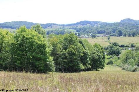 0 Ashburn Drive Buckhannon WV 26201