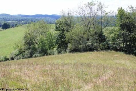 0 Ashburn Drive Buckhannon WV 26201