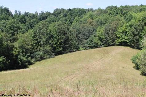 0 Ashburn Drive Buckhannon WV 26201