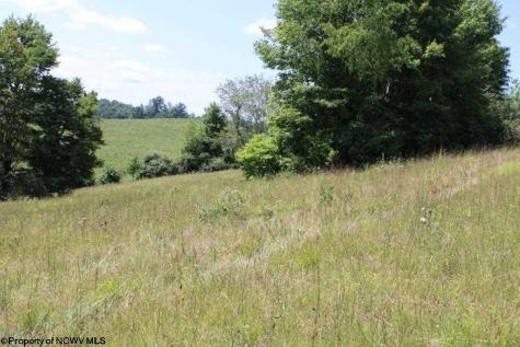 0 Ashburn Drive Buckhannon WV 26201