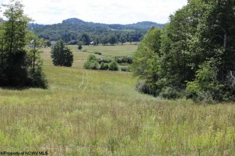 0 Ashburn Drive Buckhannon WV 26201