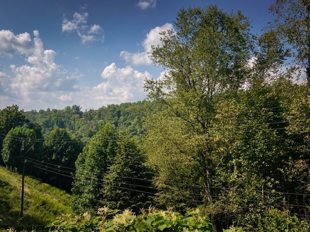 0 Birds Creek Road Tunnelton WV 26444