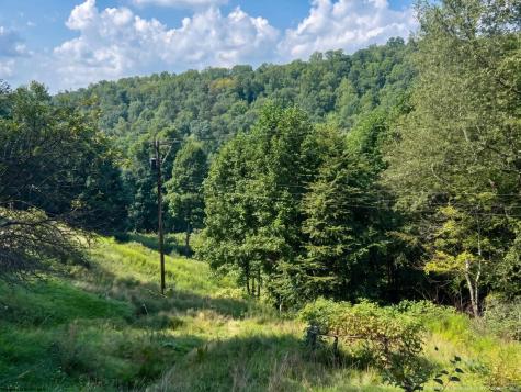 0 Birds Creek Road Tunnelton WV 26444